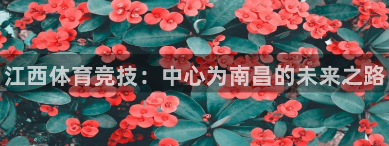 公海赌赌船官方正版app娱乐代理怎么样