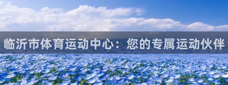 公海赌赌船官网下载平台注册要钱吗安全吗：临沂市体育运