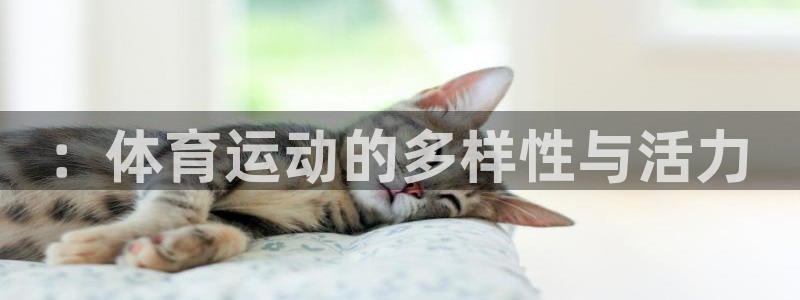 公海赌赌船官方正版app娱乐平台：：体育运动的多样性