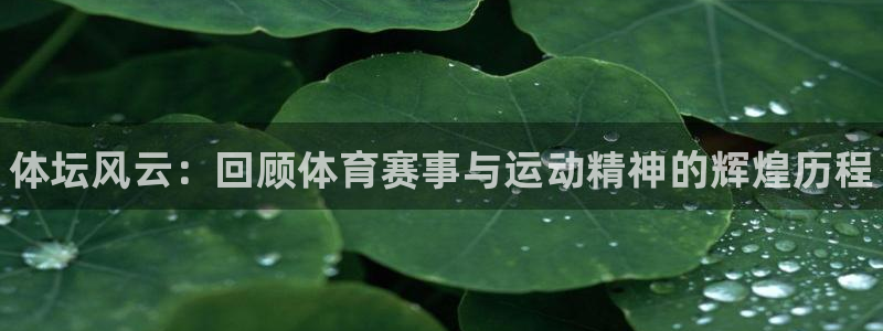 德国公海赌赌船官方正版app集团：体坛风云：回顾体育
