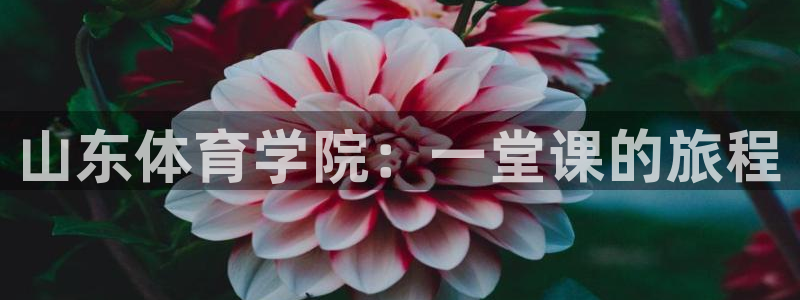 公海赌赌船官网下载开户：山东体育学院：一堂课的旅程