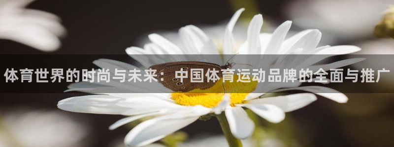 公海赌赌船官网下载软件：体育世界的时尚与未来：中国体