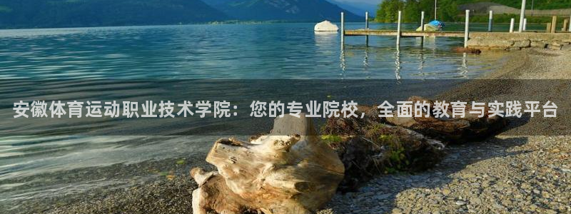 公海赌赌船官网下载平台注册流程视频：安徽体育运动职业技术学院
