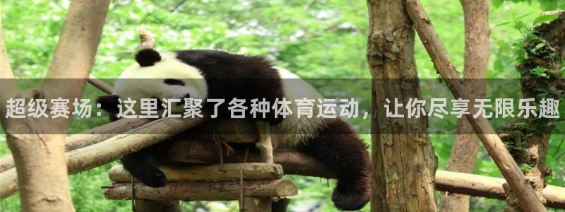 公海赌赌船官网下载娱乐：超级赛场：这里汇聚了各种体育