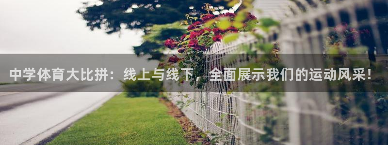 公海赌赌船官网下载娱乐：中学体育大比拼：线上与线下，