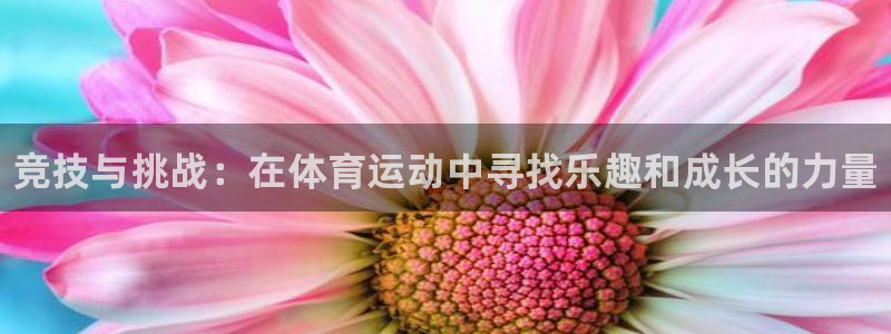 公海赌赌船官方正版app集团简介：竞技与挑战：在体育