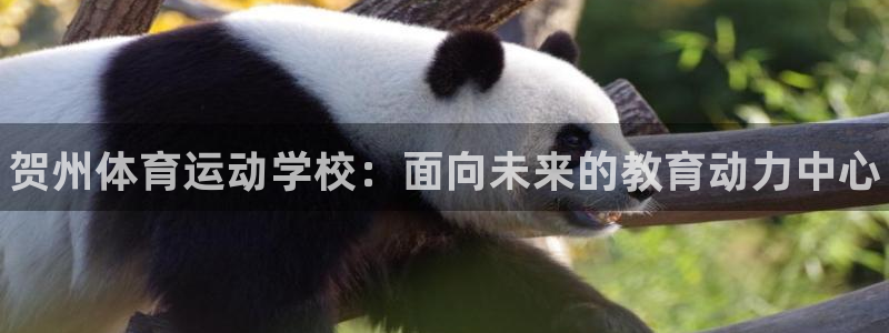 公海赌赌船官方正版app集团：贺州体育运动学校：面向未来的教