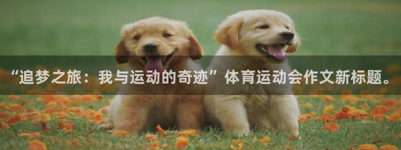 公海赌赌船官网下载官方客服电话：“追梦之旅：我与运动的奇迹”