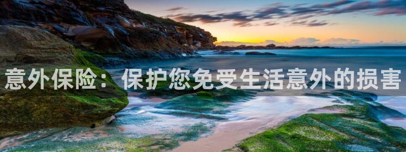 公海赌赌船官方正版app集团logo：意外保险：保护