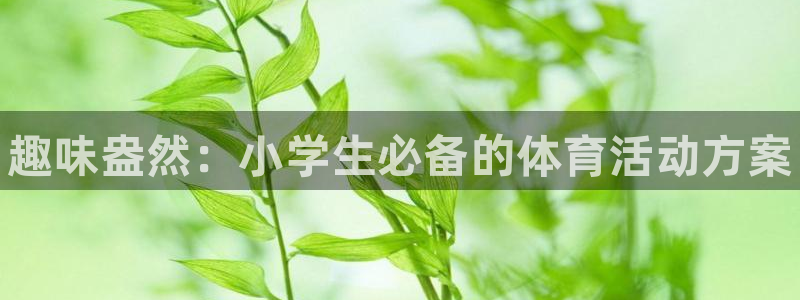 公海赌赌船官方正版app官网：趣味盎然：小学生必备的体育活动