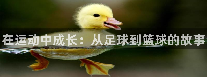 公海赌赌船官网下载注册：在运动中成长：从足球到篮球的