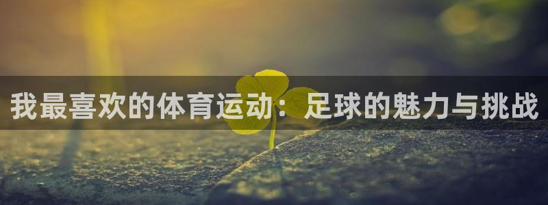 公海赌赌船官网下载招商电话地址是多少：我最喜欢的体育运动：足