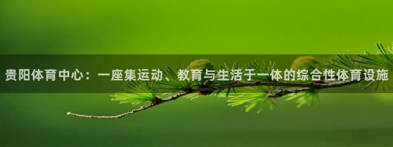 公海赌赌船官网下载平台注册流程视频：贵阳体育中心：一座集运动
