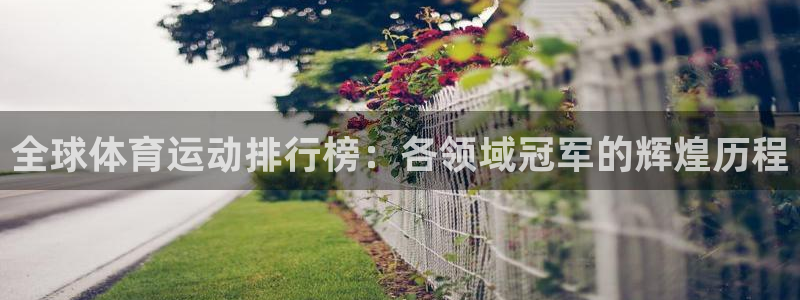 公海赌赌船官网下载平台注册要钱吗：全球体育运动排行榜