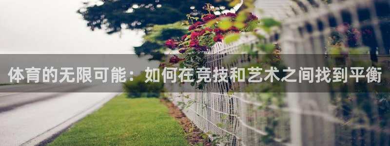 德国公海赌赌船官方正版app集团：体育的无限可能：如