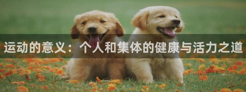 公海赌赌船官网下载招商电话：运动的意义：个人和集体的