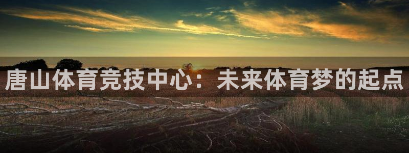 公海赌赌船官网下载招商电话是多少号码