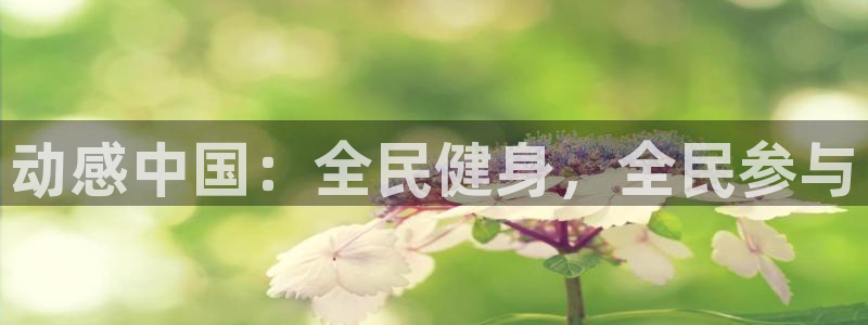 公海赌赌船官方正版app集团