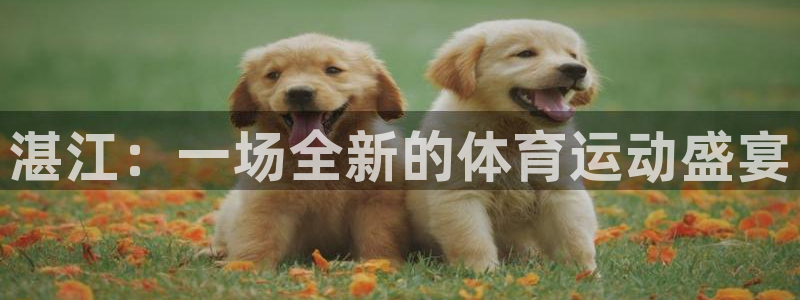 公海赌赌船官网下载注册：湛江：一场全新的体育运动盛宴