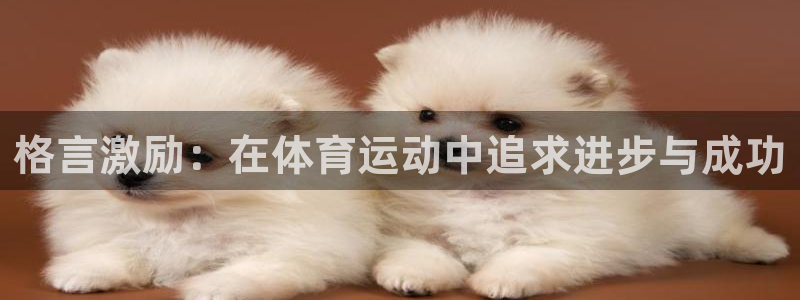 公海赌赌船官方正版app集团官网网址：格言激励：在体