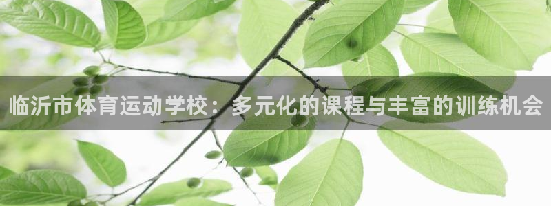公海赌赌船官方正版app娱乐平台