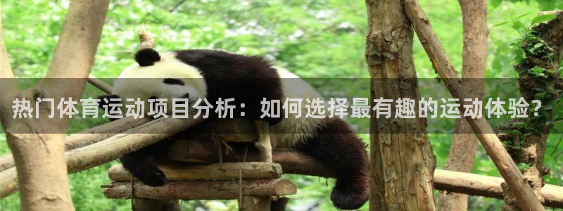 公海赌赌船官网下载平台是正规平台吗知乎：热门体育运动项目分析