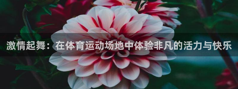 公海赌赌船官网下载招商电话地址是多少