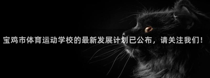 公海赌赌船官方正版app集团E.ON：宝鸡市体育运动学校的最