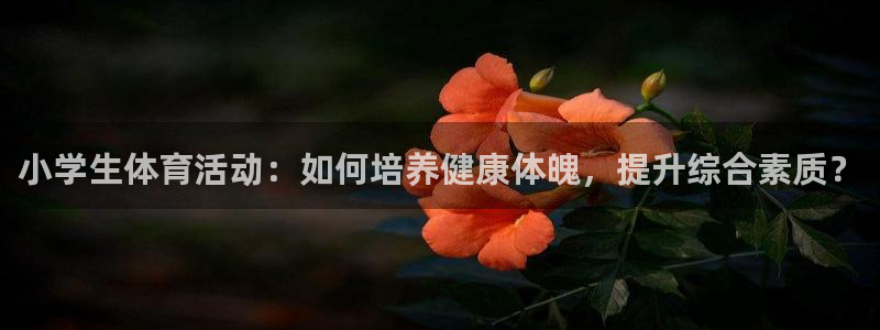 公海赌赌船官方正版app娱乐首页官网下载：小学生体育