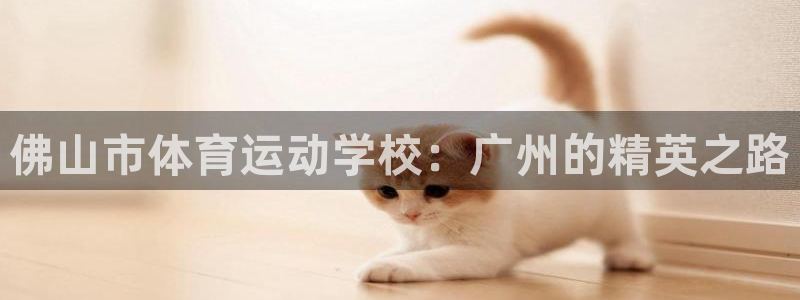 公海赌赌船官网下载平台APP：佛山市体育运动学校：广