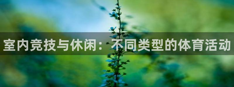 公海赌赌船官网下载招商电话：室内竞技与休闲：不同类型的体育活
