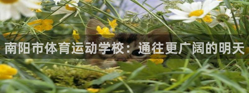 公海赌赌船官方正版app官网：南阳市体育运动学校：通往更广阔